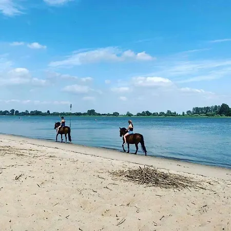 بيت للعطل Traumhaus Am Weserstrand Elsfleth